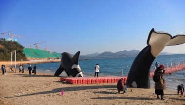 关于深圳集体户口领证，看这篇就够了