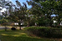 一文看懂深圳集体户口条件究竟如何应对！