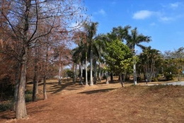 深圳入户条件博士50岁新计划！