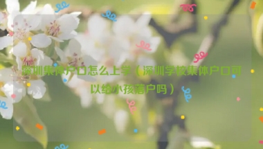 深圳集体户口怎么上学（深圳学校集体户口可以给小孩落户吗）