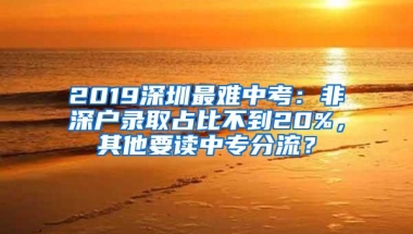 2019深圳最难中考：非深户录取占比不到20%，其他要读中专分流？