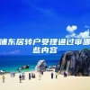 浦东居转户受理通过审哪些内容
