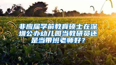 非应届学前教育硕士在深圳公办幼儿园当教研员还是当带班老师好？