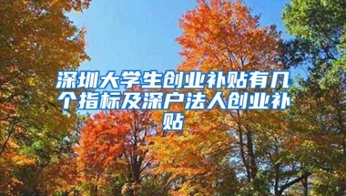 深圳大学生创业补贴有几个指标及深户法人创业补贴