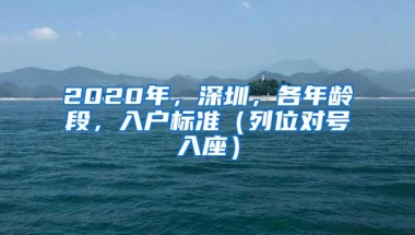 2020年，深圳，各年龄段，入户标准（列位对号入座）