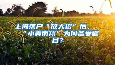 上海落户“放大招”后，“小美南翔”为何备受瞩目？
