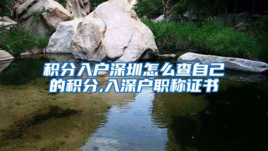 积分入户深圳怎么查自己的积分,入深户职称证书