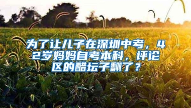 为了让儿子在深圳中考，42岁妈妈自考本科，评论区的醋坛子翻了？