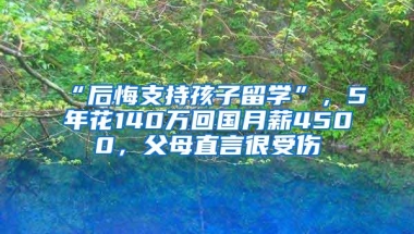 “后悔支持孩子留学”，5年花140万回国月薪4500，父母直言很受伤
