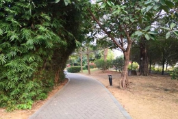 无需找中介，深圳市南山区集体户口地址就是这么简单！