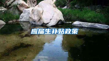 应届生补贴政策