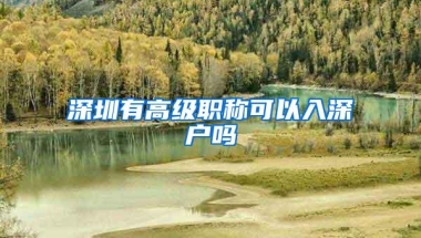 深圳有高级职称可以入深户吗