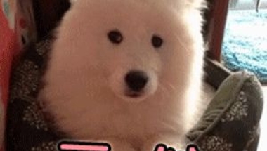 2022年，留学生在深创业怎么申请创业补贴？