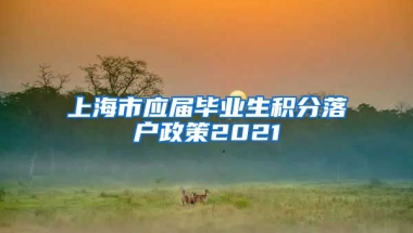 上海市应届毕业生积分落户政策2021