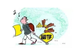 留学生入深户，看完这些条件，原来入户这么简单！