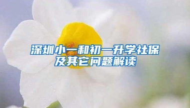 深圳小一和初一升学社保及其它问题解读