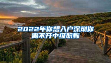 2022年你想入户深圳你离不开中级职称