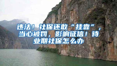 违法！社保还敢“挂靠”，当心被罚，影响征信！待业期社保怎么办