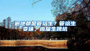 遍地都是管培生？管培生变味，应届生跳坑