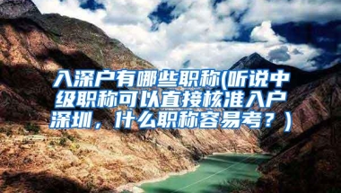 入深户有哪些职称(听说中级职称可以直接核准入户深圳，什么职称容易考？)