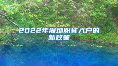 2022年深圳职称入户的新政策