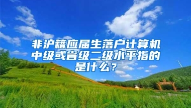 非沪籍应届生落户计算机中级或省级二级水平指的是什么？