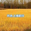代办上海积分