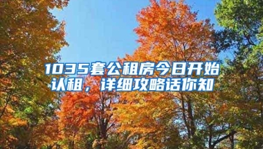 1035套公租房今日开始认租，详细攻略话你知