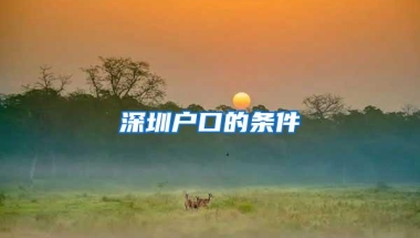 深圳户口的条件