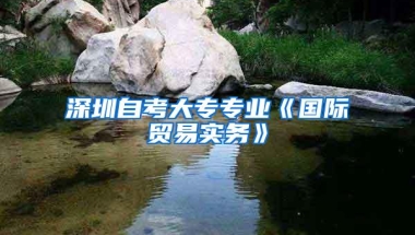 深圳自考大专专业《国际贸易实务》