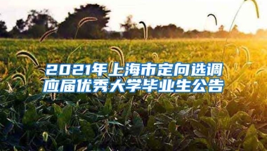2021年上海市定向选调应届优秀大学毕业生公告