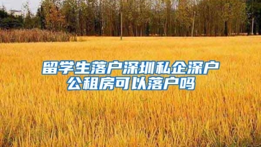 留学生落户深圳私企深户公租房可以落户吗