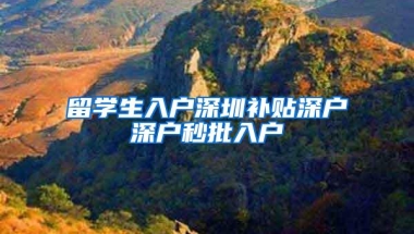 留学生入户深圳补贴深户深户秒批入户
