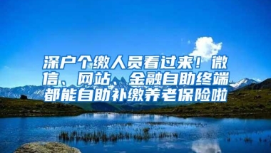深户个缴人员看过来！微信、网站、金融自助终端都能自助补缴养老保险啦
