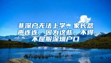 非深户无法上学，家长怨声连连，因为这些，不得不屈服深圳户口