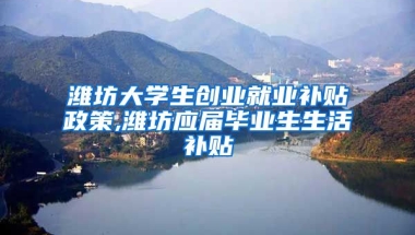 潍坊大学生创业就业补贴政策,潍坊应届毕业生生活补贴