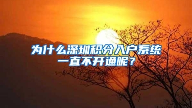 为什么深圳积分入户系统一直不开通呢？
