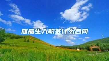 应届生入职签什么合同