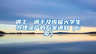 调工、调干及应届大学生办理深户的方案通知（6页）