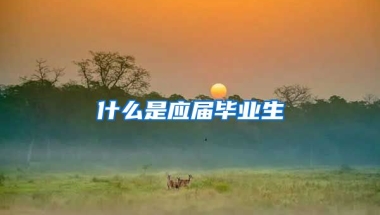 什么是应届毕业生