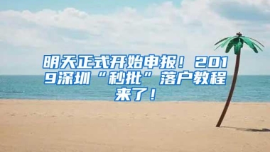 明天正式开始申报！2019深圳“秒批”落户教程来了！