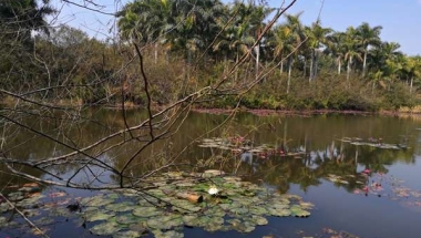 深圳留学生落户需要资料的“破圈”之路！