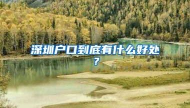 深圳户口到底有什么好处？