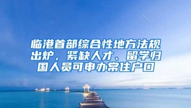 临港首部综合性地方法规出炉，紧缺人才、留学归国人员可申办常住户口