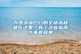 办理深圳户口的全部流程都在这里，有了这些指南办事很简单
