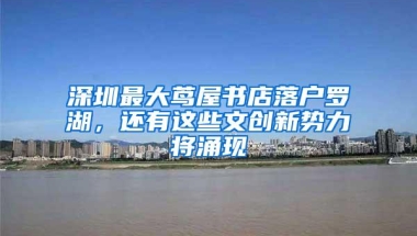 深圳最大茑屋书店落户罗湖，还有这些文创新势力将涌现