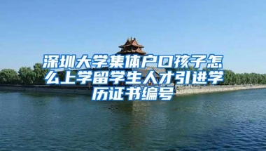 深圳大学集体户口孩子怎么上学留学生人才引进学历证书编号