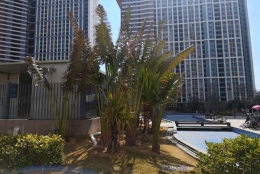 一篇文章，讲透2022珠海海归硕士落户条件