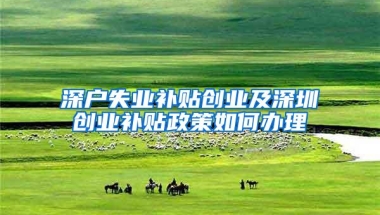 深户失业补贴创业及深圳创业补贴政策如何办理