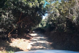 还原深圳集体户口新规定！为你揭晓轻松应对之道